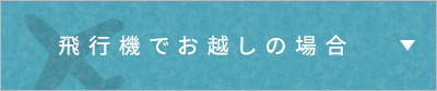 飛行機でお越しの場合