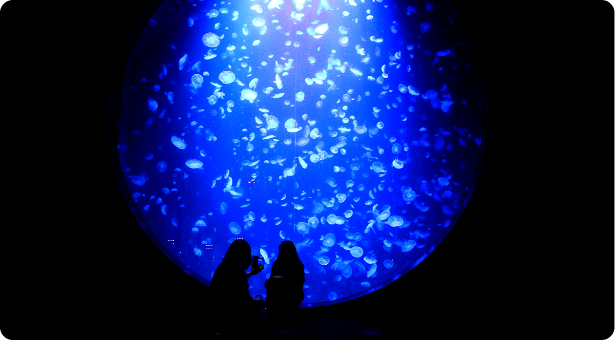 加茂水族館