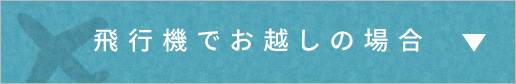 飛行機でお越しの場合
