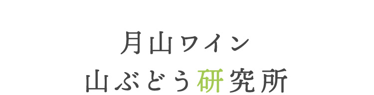 月山ワイン 山ぶどう研究所