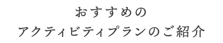 アクティビティプラン